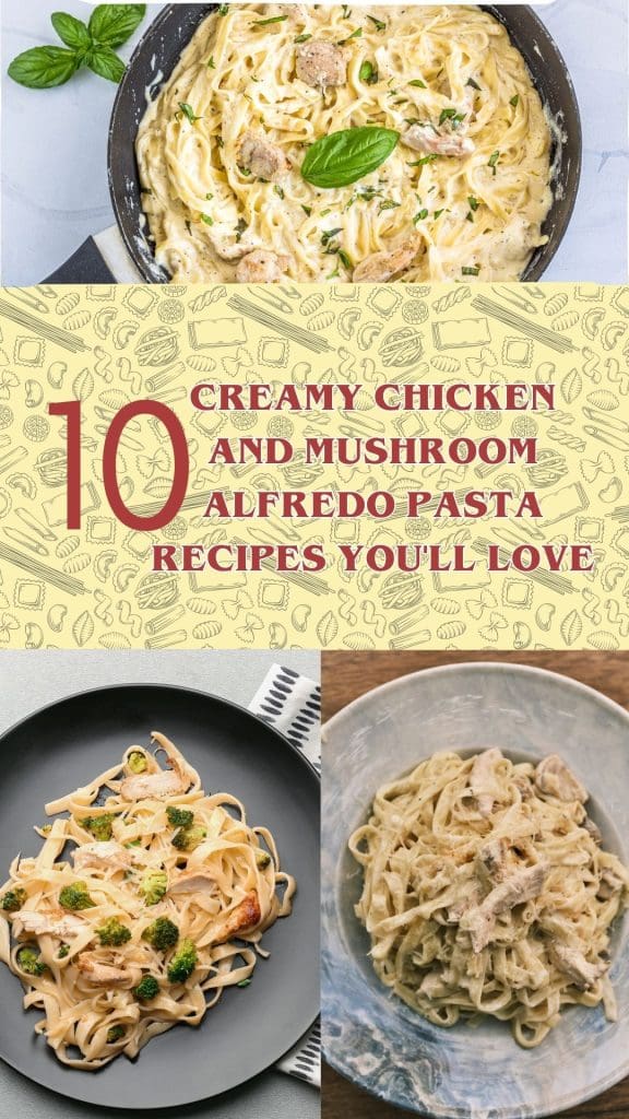 Chicken and Mushroom Alfredo Pasta Recipes